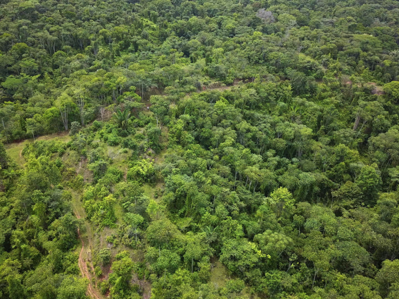 Land For Sale in Ojochal Costa Rica